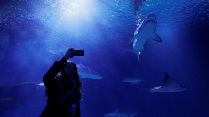 L'informatiu - Comunitat Valenciana - L'Informatiu - Comunitat Valenciana - 31/01/18