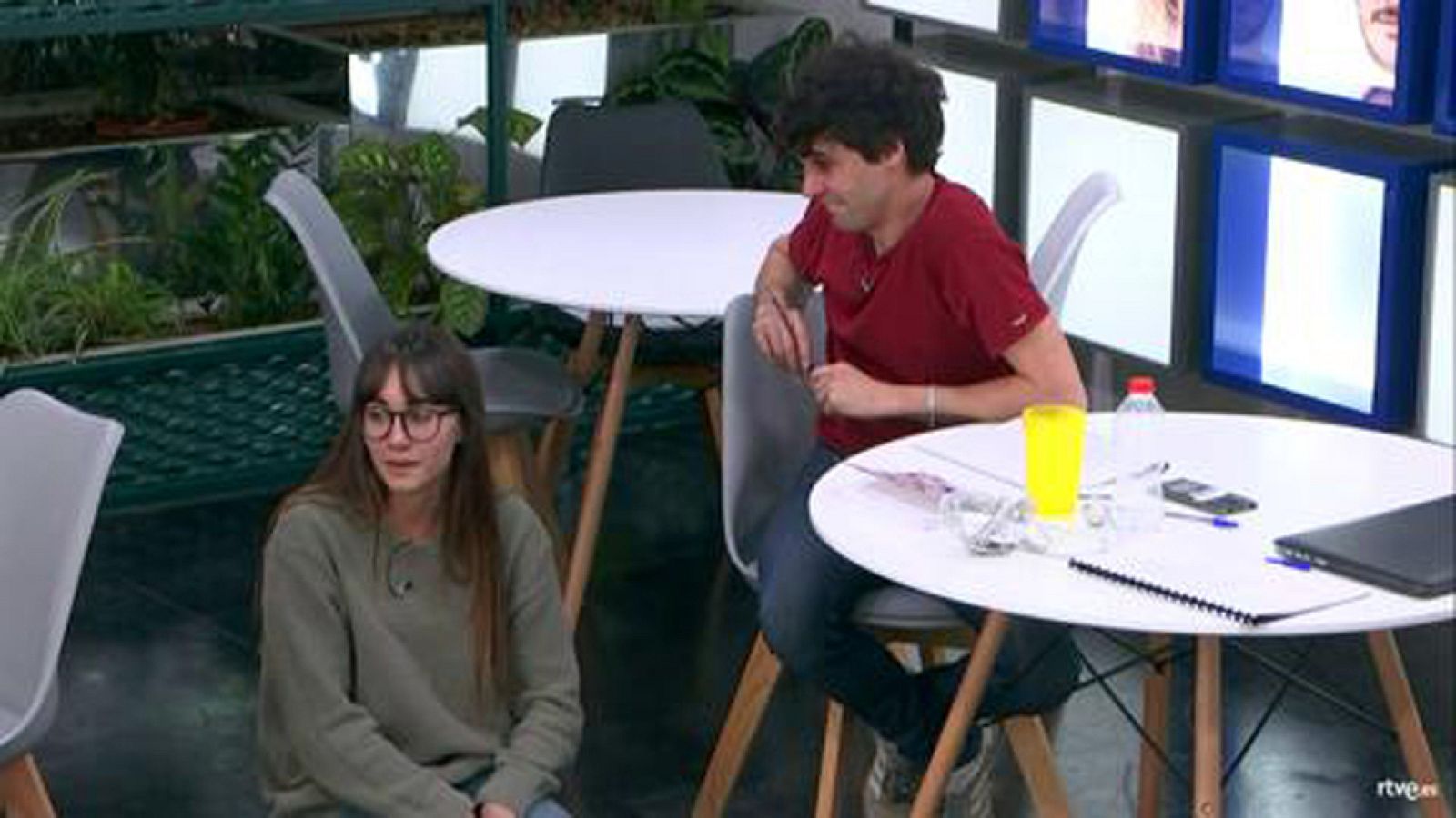 Operaci�n Triunfo - Resumen diario de OT 31/01/18