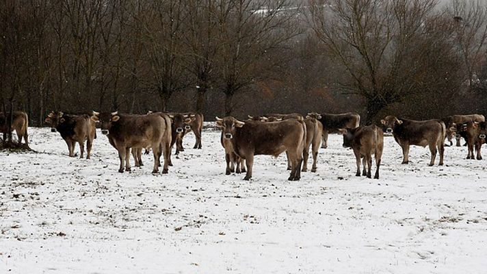 Telediario 1 - Telediario 1 en 4' - 01/02/18