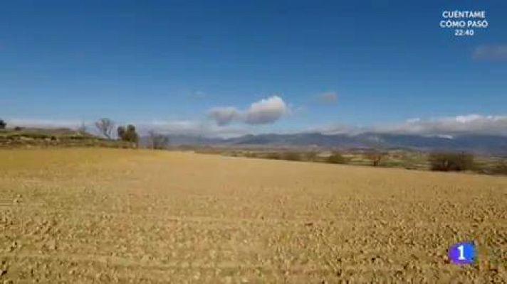 Aquí la Tierra - Vinagre de sarmiento