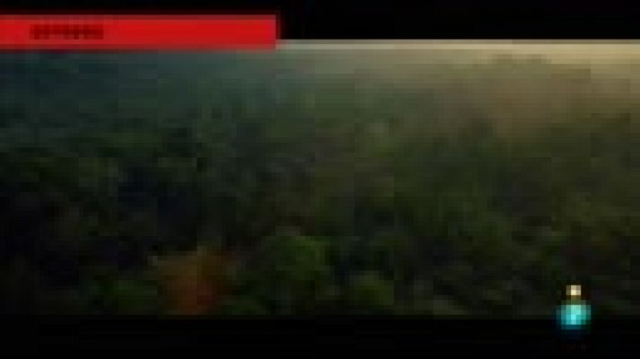 Días de cine - 'El cuaderno de Sara'