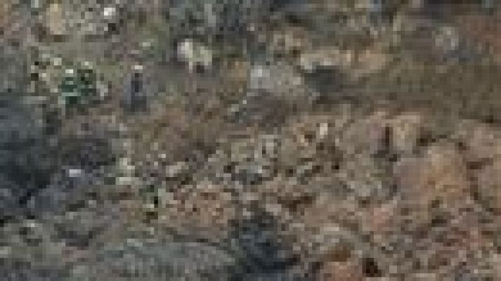 Telecanarias - Canarias en 2' - 02/02/2018