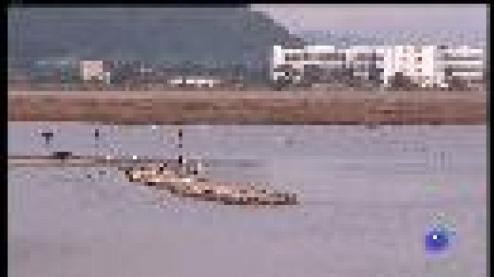 Dia de les zones humides: l'Albufera de Mallorca en perill. 