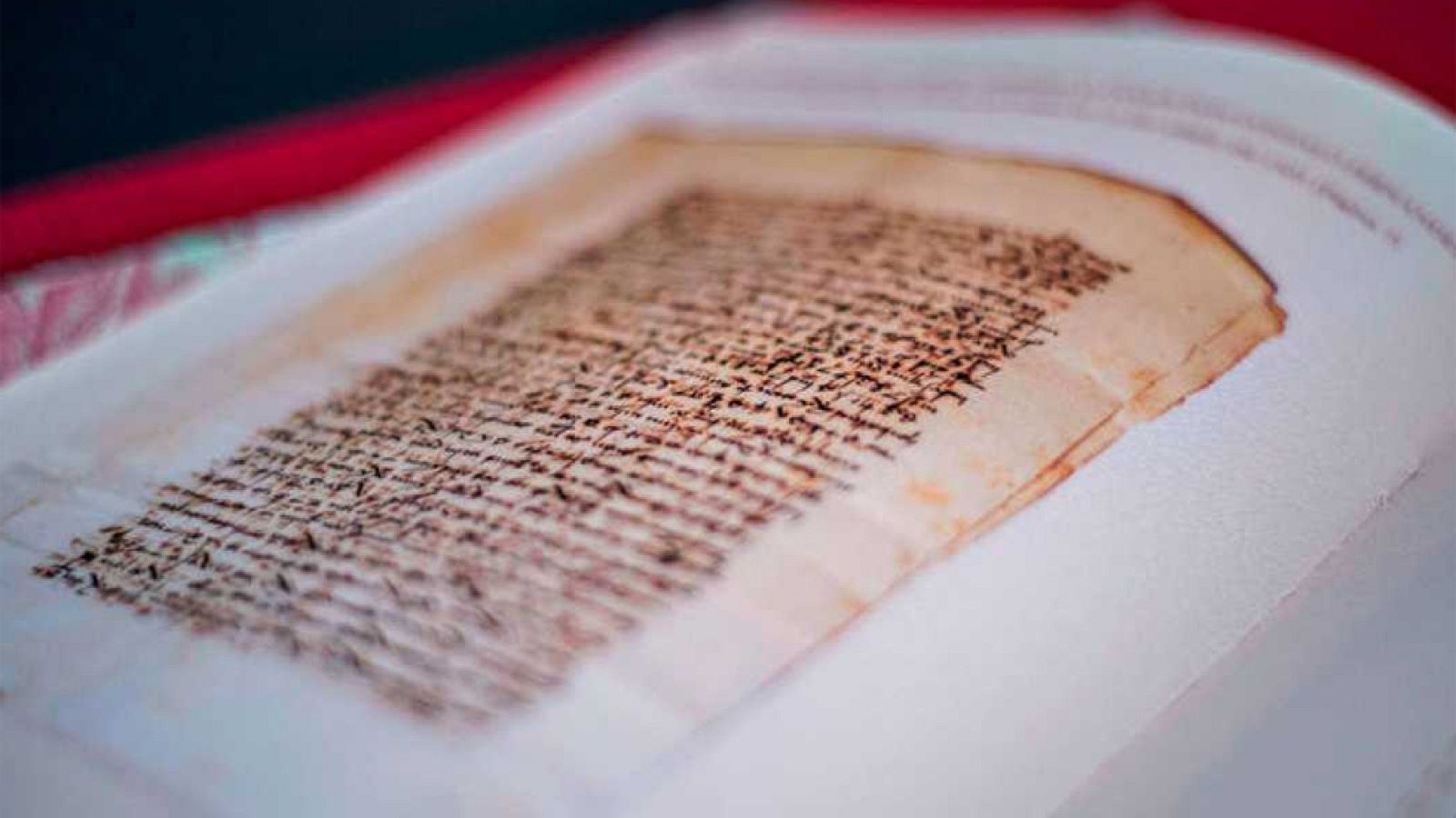 El código secreto entre Fernando el Católico y el Gran Capitán, al descubierto cinco siglos después | Ver