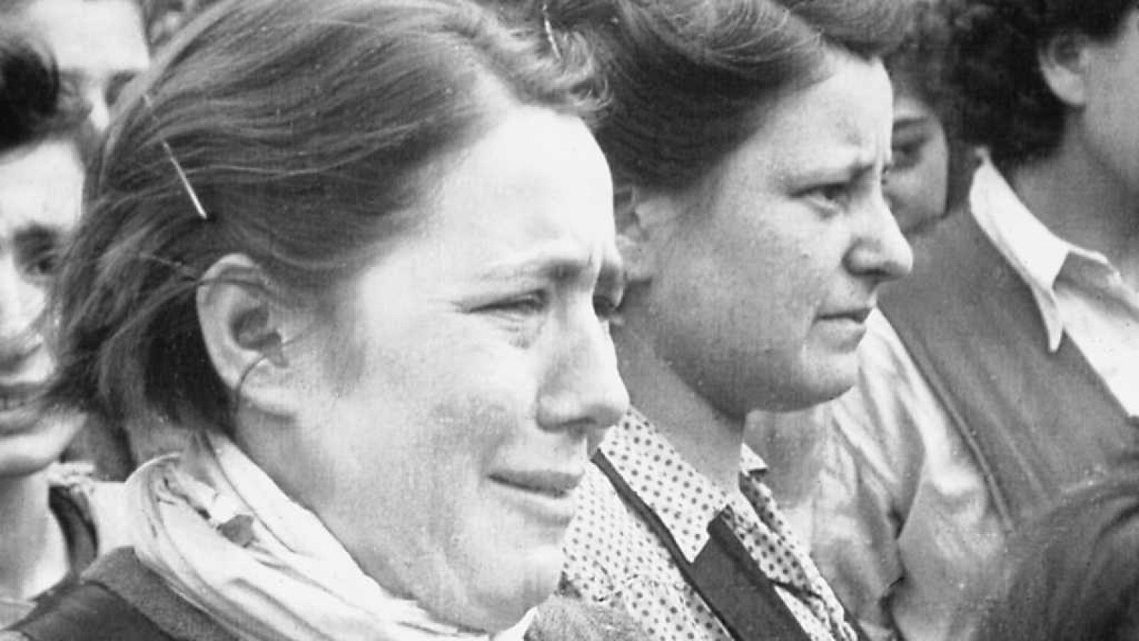 Documaster - Cuando caiga la noche - ver ahora