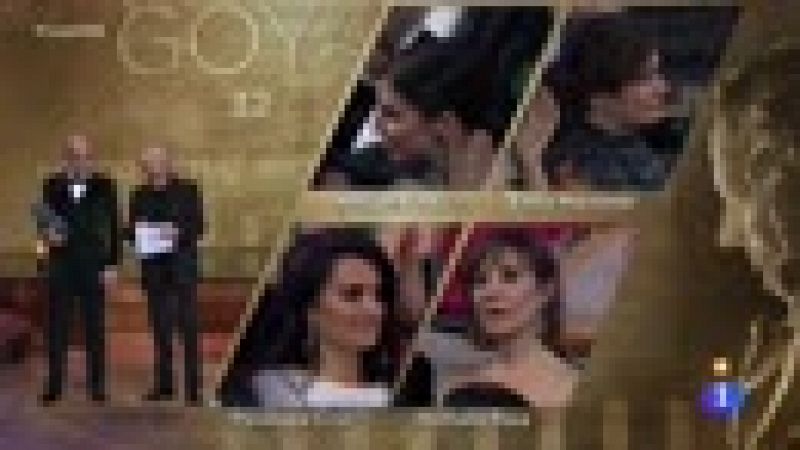 Nathalie Poza, Goya 2018 a la mejor actriz protagonista por 'No sé decir adiós' | Ver