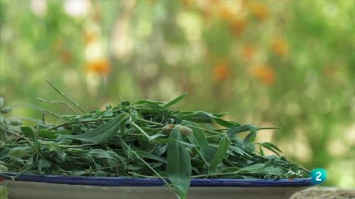 Las rutas Capone - Tortilla de collejas