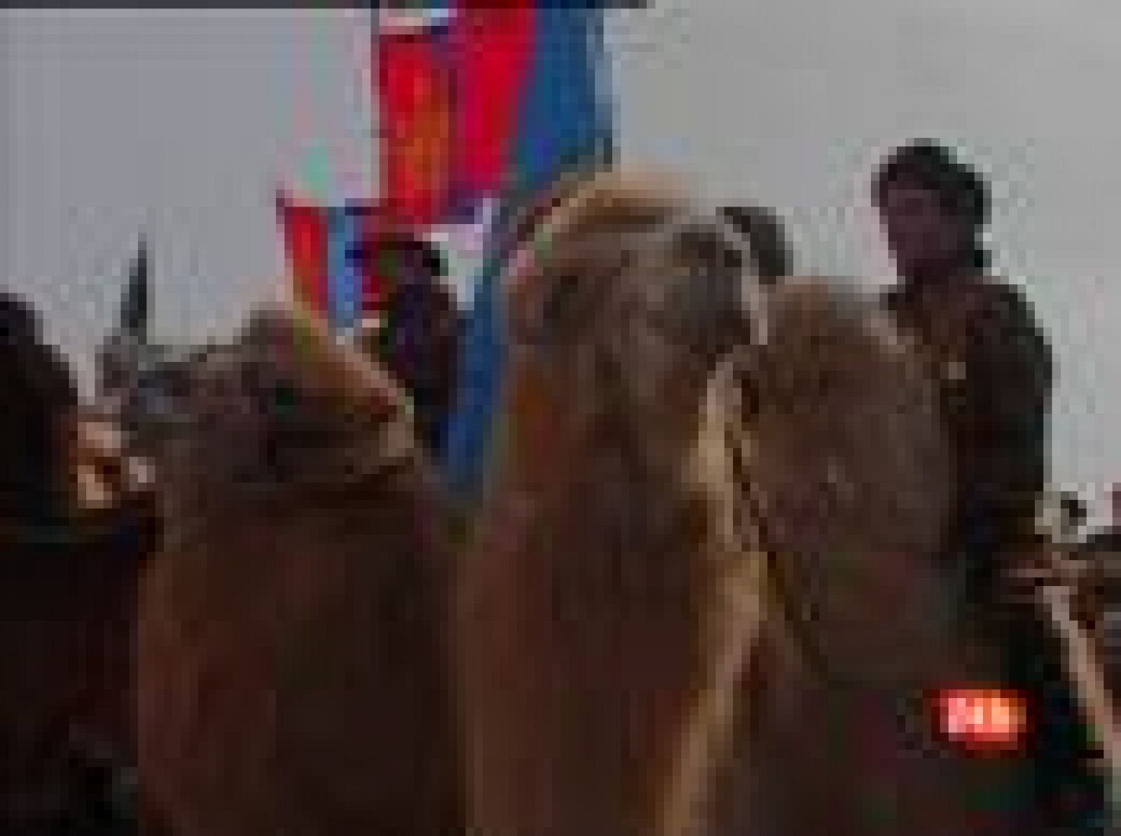 Sin programa: Polo a camello, deporte nacional | RTVE Play