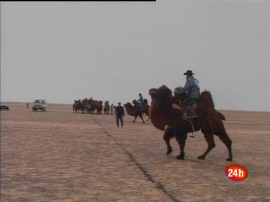  - Polo a camello, deporte nacional