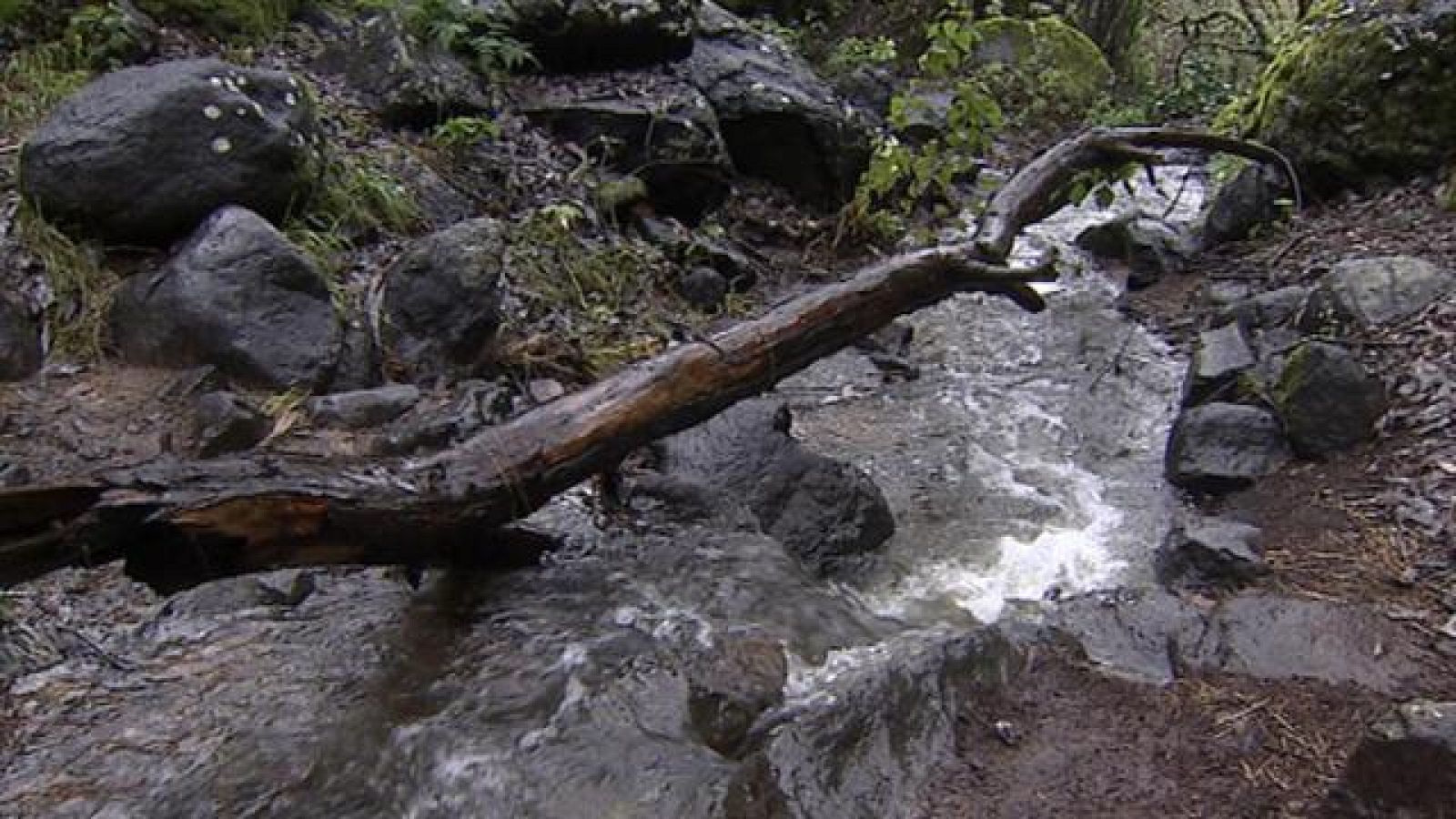 Canarias en 2' - 06/02/2018