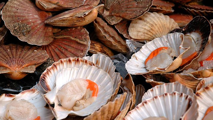 Otros documentales - Comida al descubierto: Judías verdes, vieiras y empanadillas