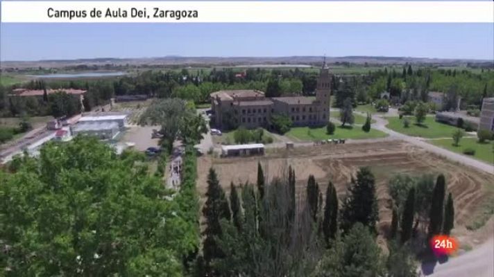 Lab24 - LAB24 - Cultivos con mucha innovación