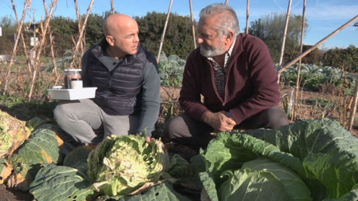 Aquí la Tierra - La paciente labor de recuperar semillas