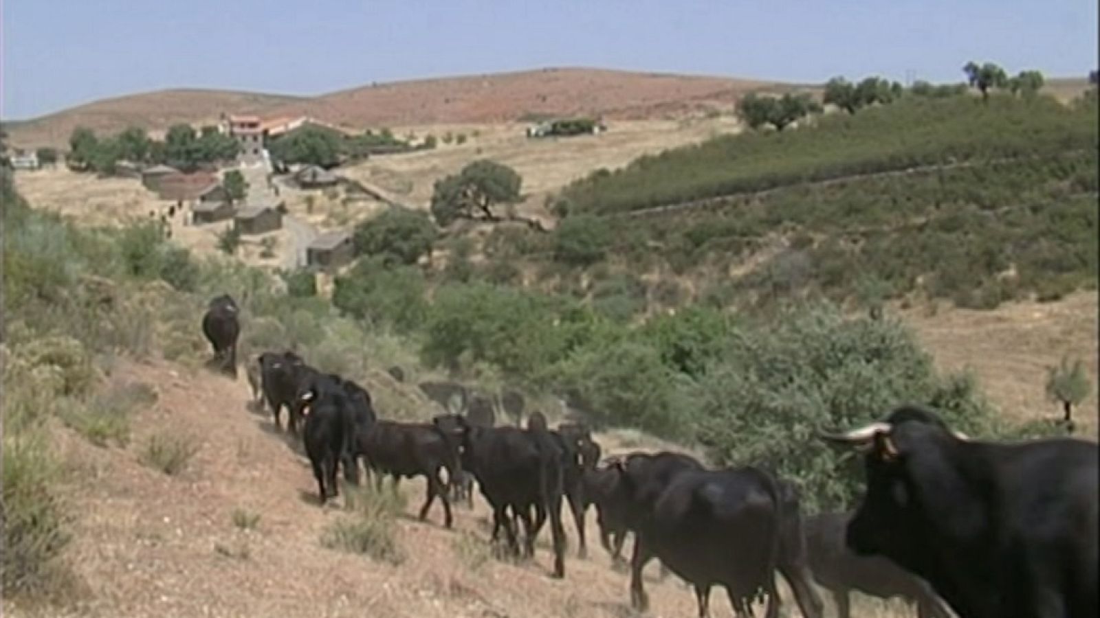 Espacios naturales "Huellas Trashumantes" - El cordel de las avileñas - ver ahora