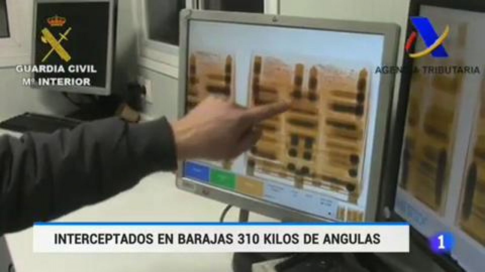 Telediario 1: La Guardia Civil ha interceptado en el aeropuerto de Madrid 310 kilos de angulas vivas | RTVE Play