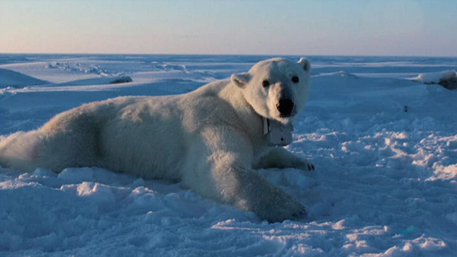 La 2 Noticias - 12/02/18 - ver ahora