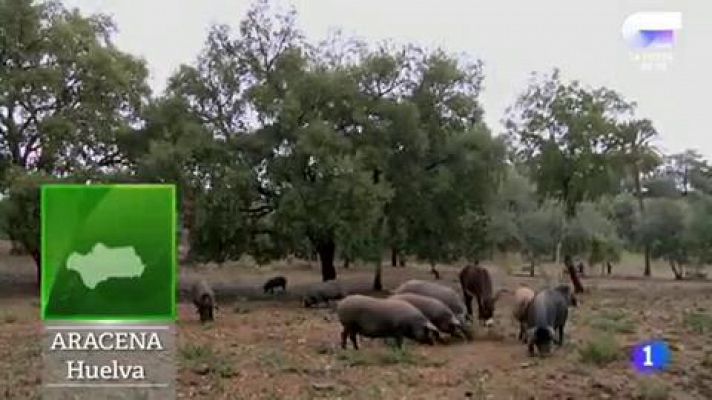 Lo que no sabías de la montanera