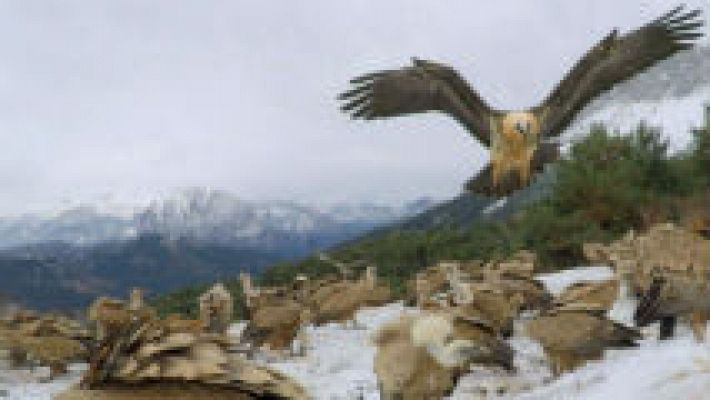 El apasionante Parque Nacional de Ordesa y Monte Perdido