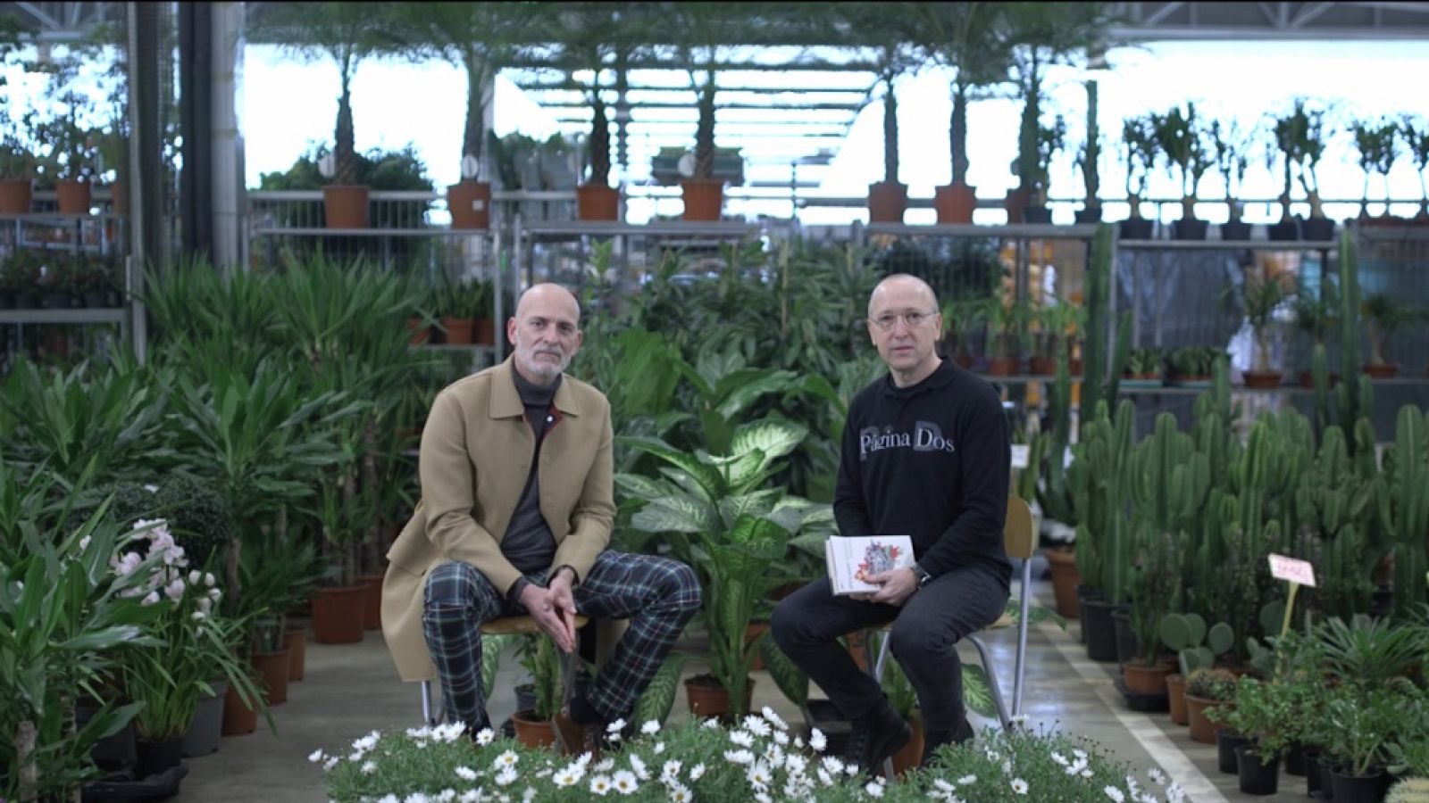 Página Dos - Alejandro Palomas - ver ahora 