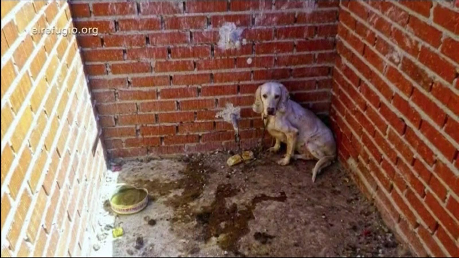 La Comunidad de Madrid en 4' - 14/02/18