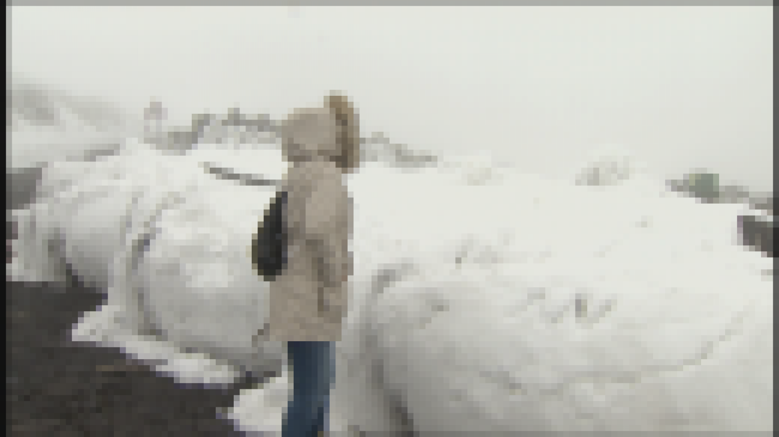 Telecanarias 2 - 05/02/2018