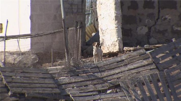 Telecanarias - Telecanarias - 14/02/2018