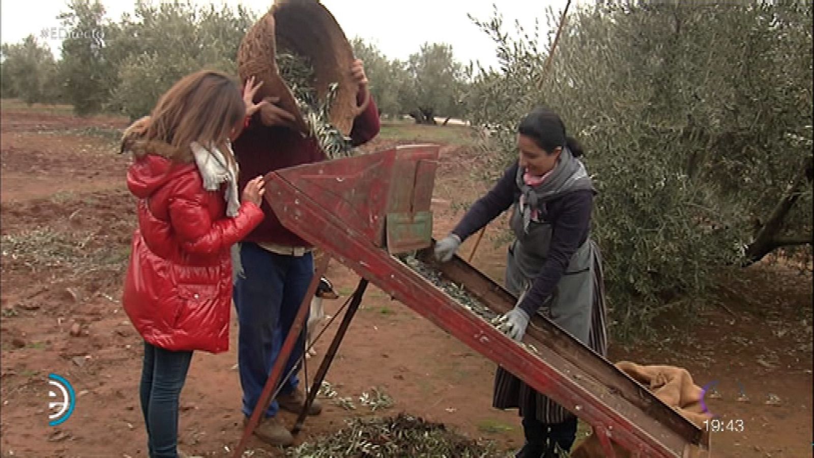 España Directo - 14/02/18 - ver ahora