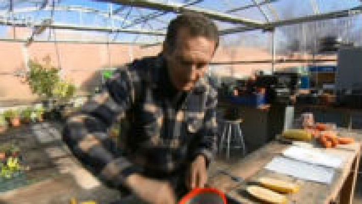 Aquí la Tierra - Haz tus propias semillas