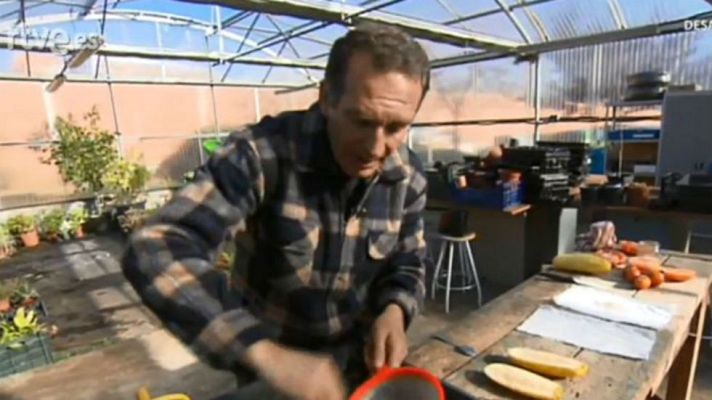 Aquí la Tierra - Haz tus propias semillas