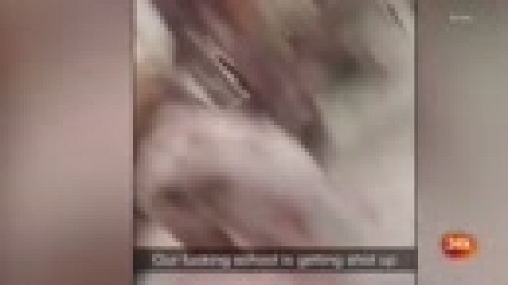 Informativo 24h - Las imágenes del tiroteo: un exalumno mata al menos a 17 personas en un instituto de Florida