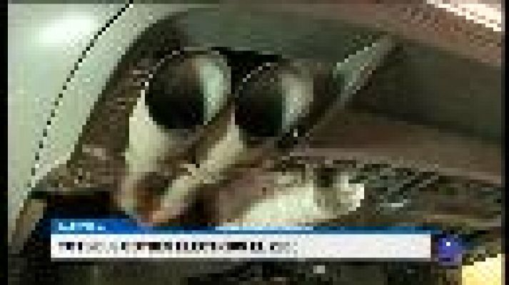 Informatiu Balear - Informatiu Balear 2 - 15/02/18