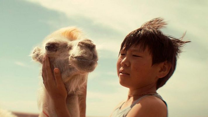 Días de cine - 'Celestial camel'