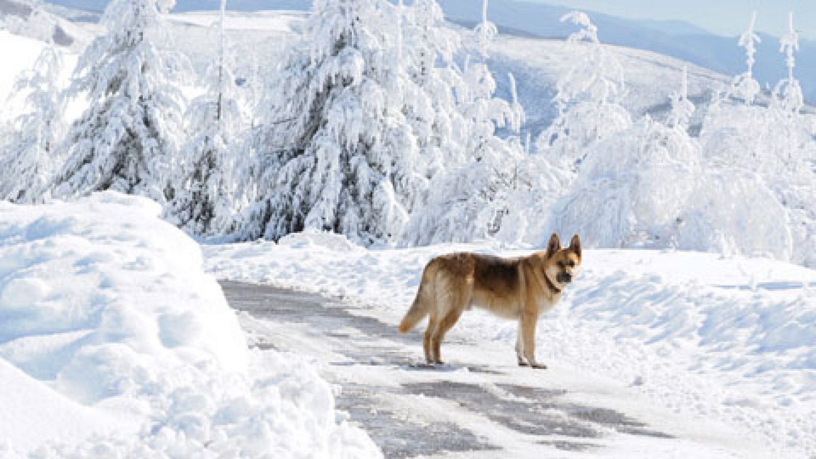 El tiempo: Posibles precipitaciones en norte y descenso temperaturas mitad norte | RTVE Play