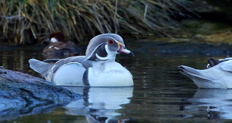 Aquí la Tierra - Aquí la tierra - 16/02/18