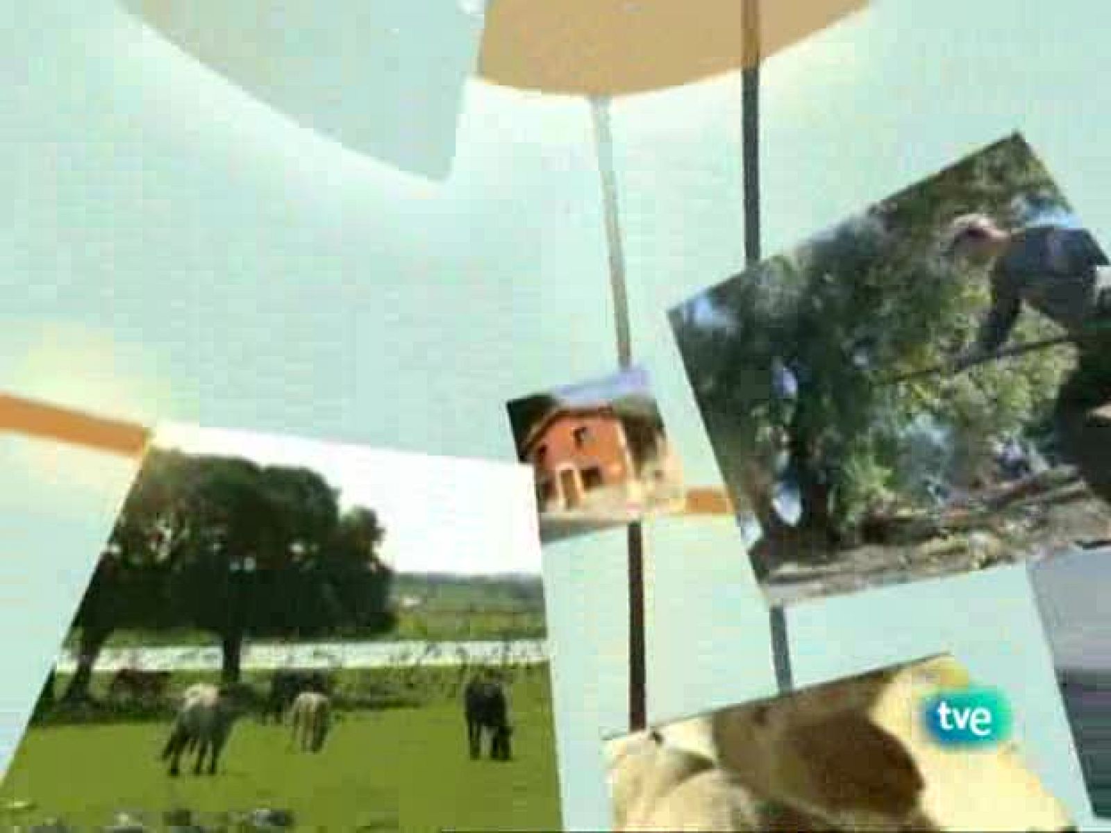 Agrosfera - 14/03/09 - Agrosfera | Ver