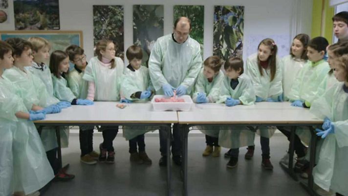 Maneras de educar - Galén, Lugo
