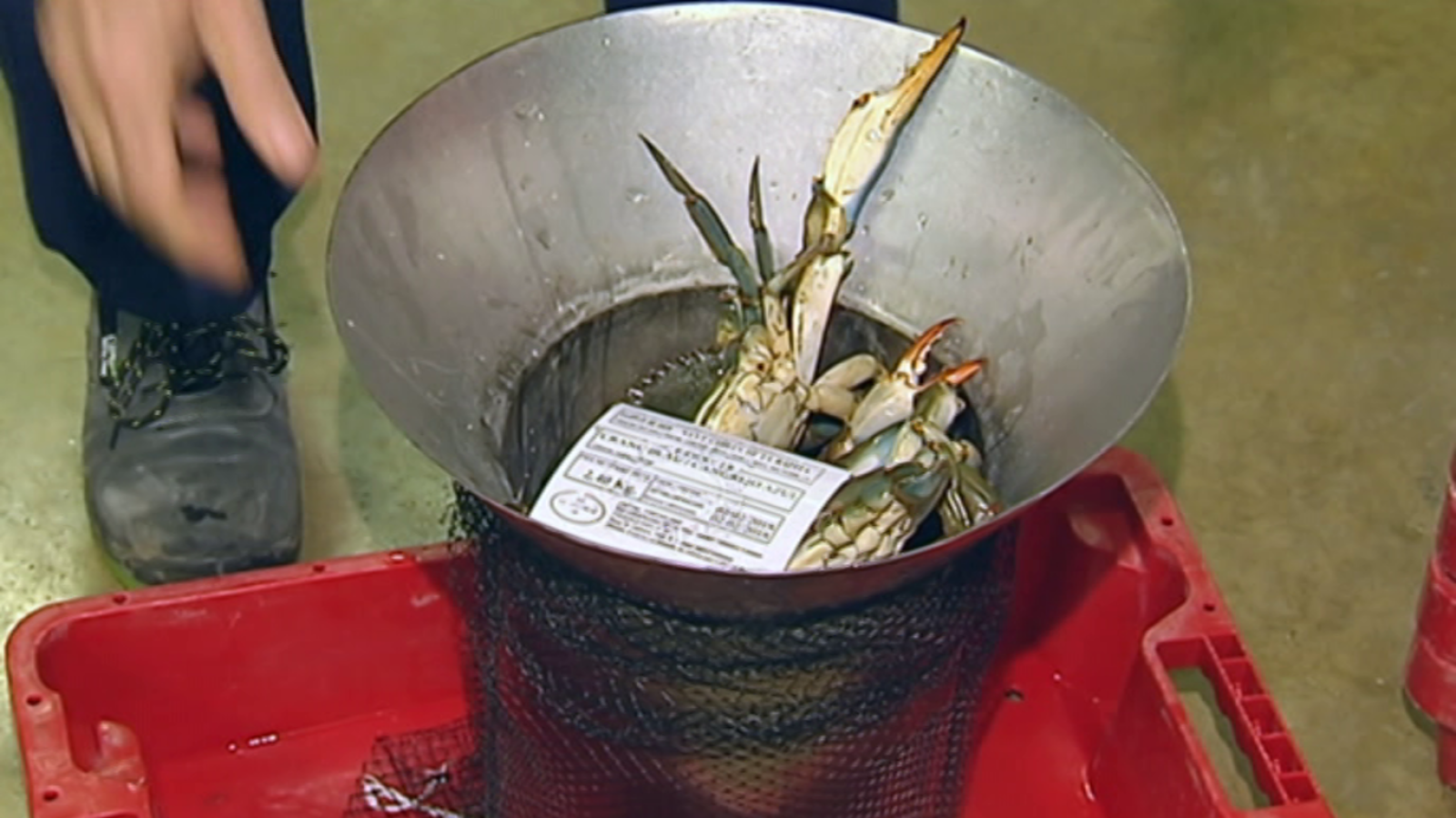 Agrosfera - 17/02/18 - ver ahora