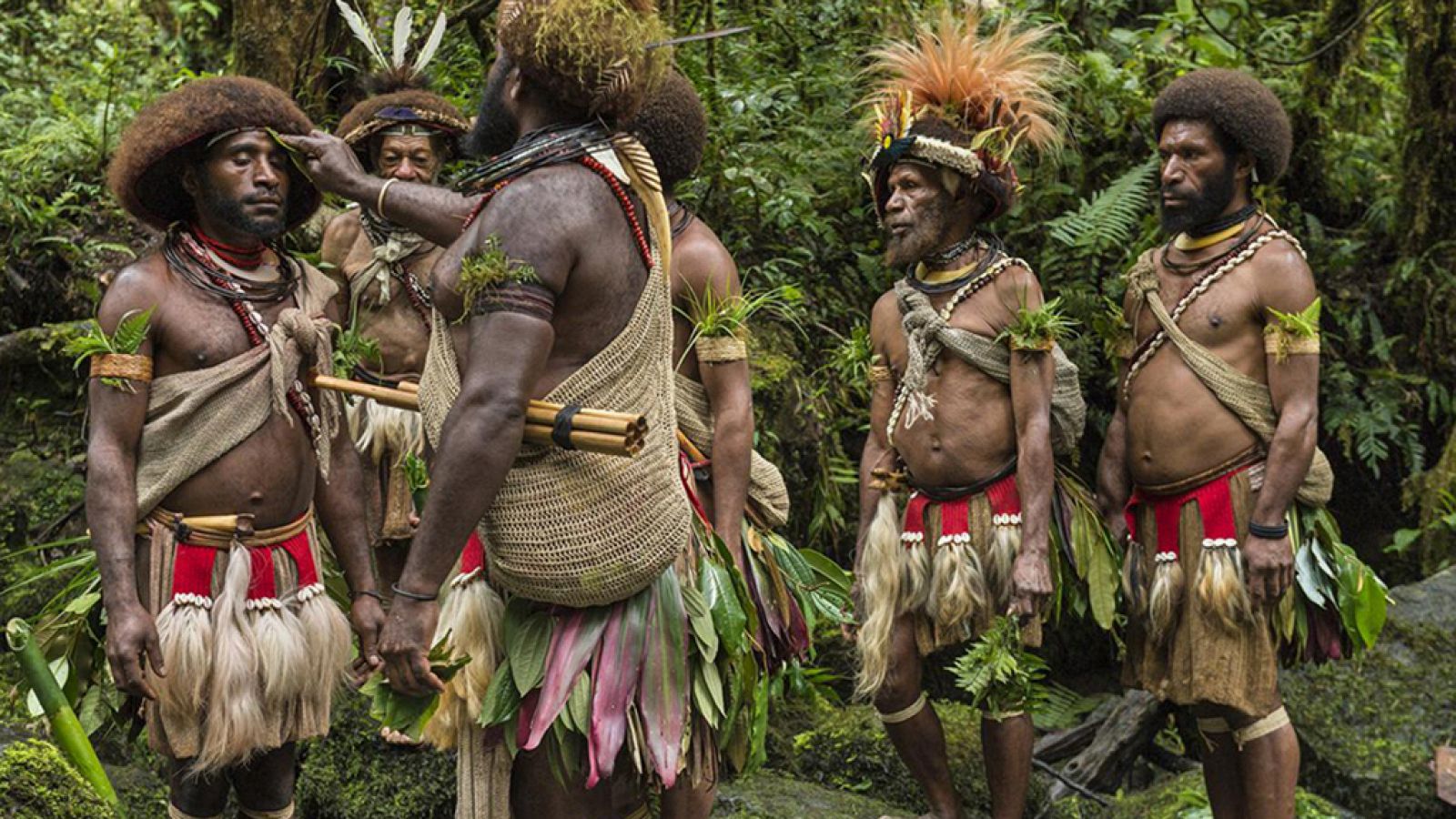 El documental - Mundiya Kepanga, hermanos de los árboles