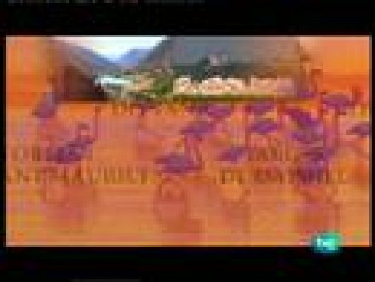 Espacios naturales - Garajonay