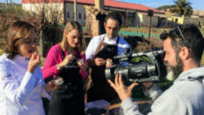 Aquí la Tierra - Helados con sabor a bosque