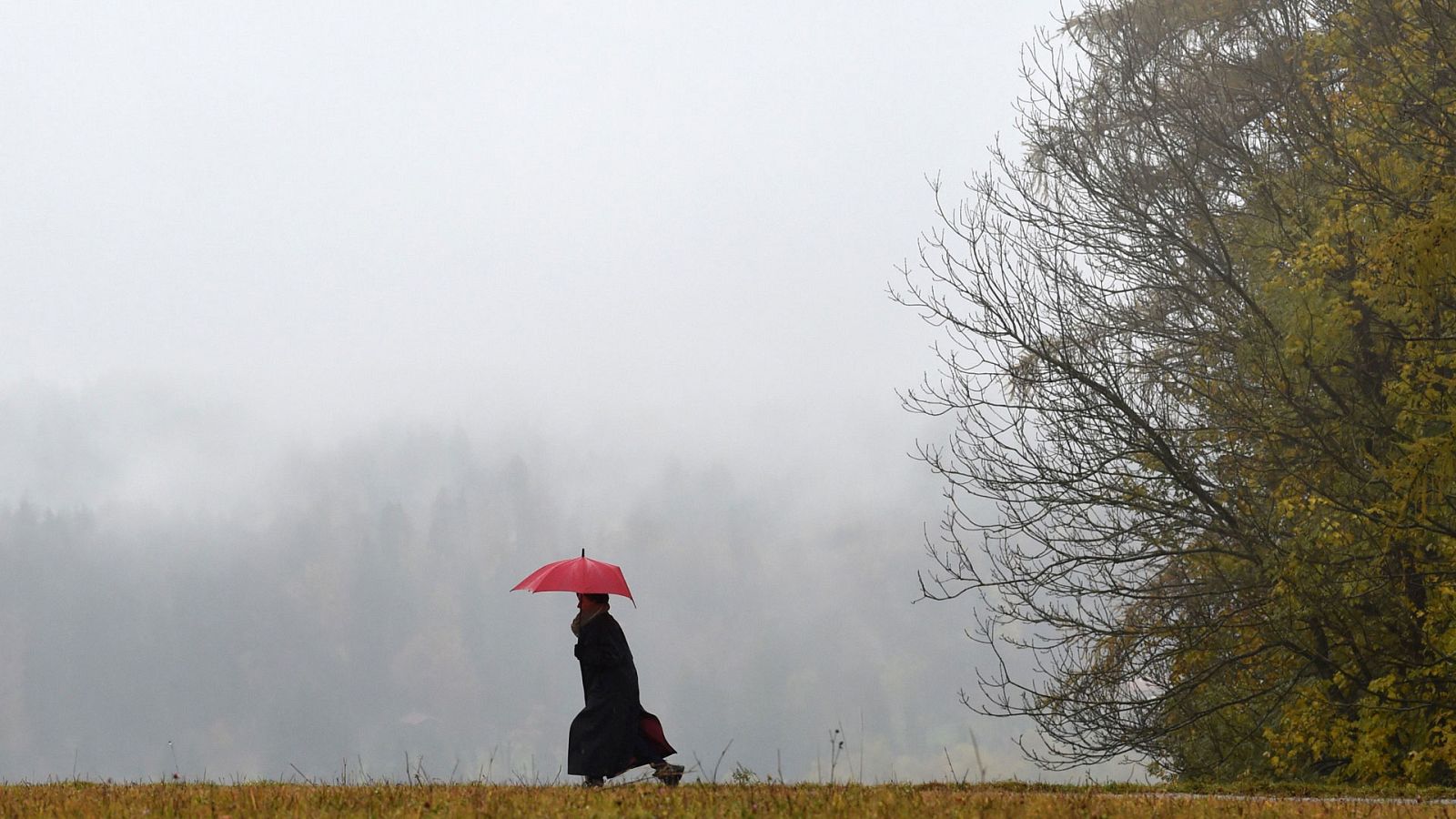 El Tiempo en la Comunidad de Madrid - 19/02/18