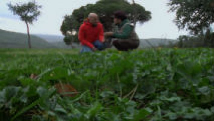 El campo, una farmacia gigante