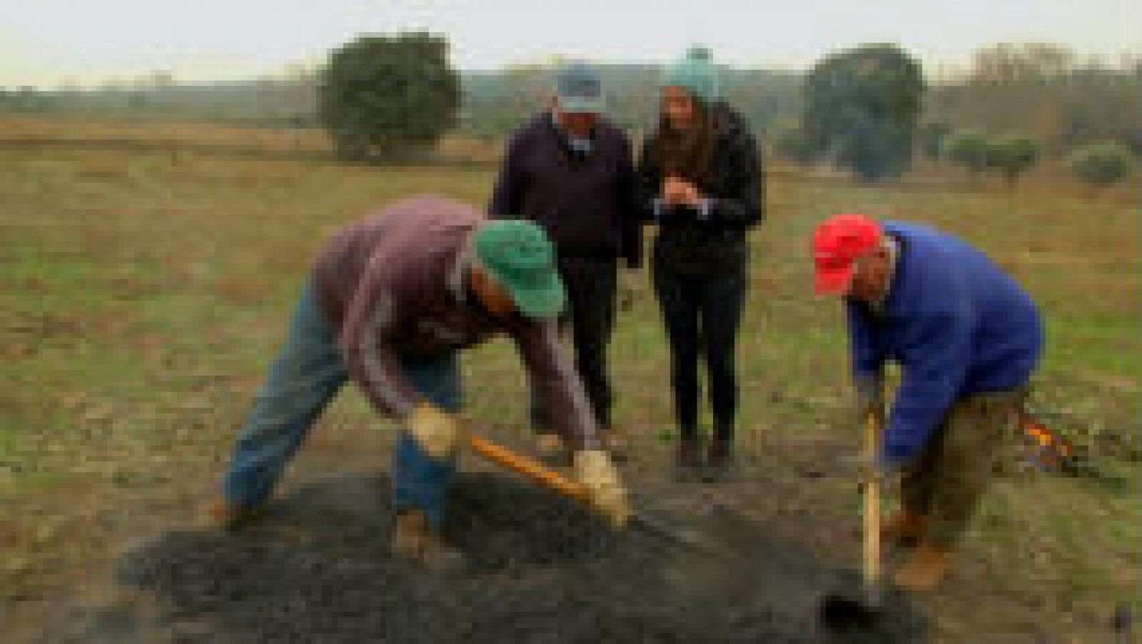 El carbón de toda la vida