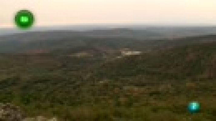 Agrosfera - ALMONASTER LA REAL, HUELVA