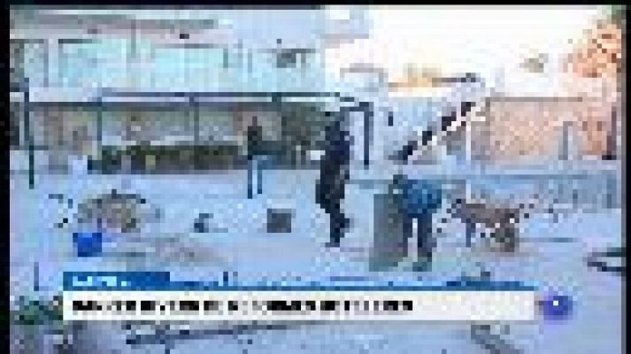 Informatiu Balear - Informatiu Balear en 2' - 20/02/18