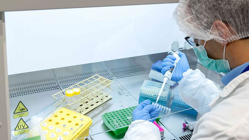 Dos neurólogos españoles desarrollan un tratamiento para combatir el cáncer de cerebro 