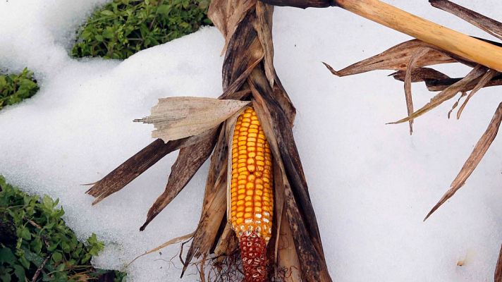 El tiempo - Rachas de viento fuerte en Pirineos y valle del Ebro. Nevadas en el Cantábrico y Pirineos