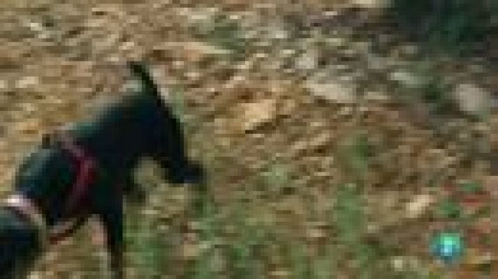 Las rutas Capone - Roberto Capone: el mejor buscador de trufas