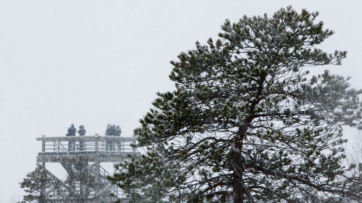 El tiempo - Acusado descenso térmico en norte y centro peninsular y en Pirineos