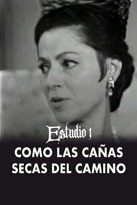 Estudio 1 - Como las cañas secas del camino